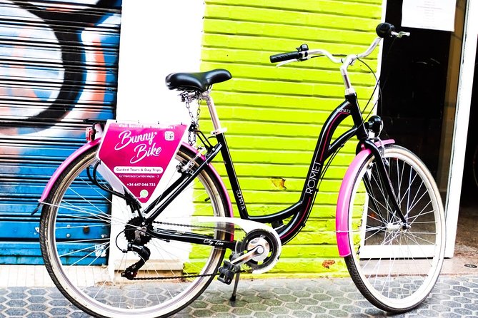 1 Day Bike Rental in Seville city - Choosing the Right Bike Type Before You Roll