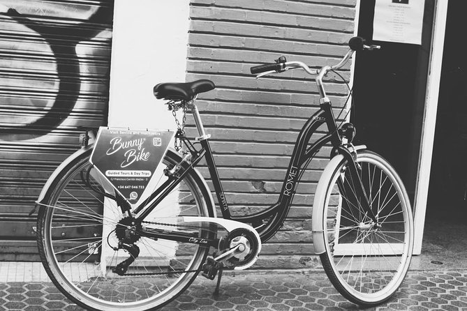 1 Day Bike Rental in Seville city - Practical Cycling Comfort: Make It a Stress-Free Day