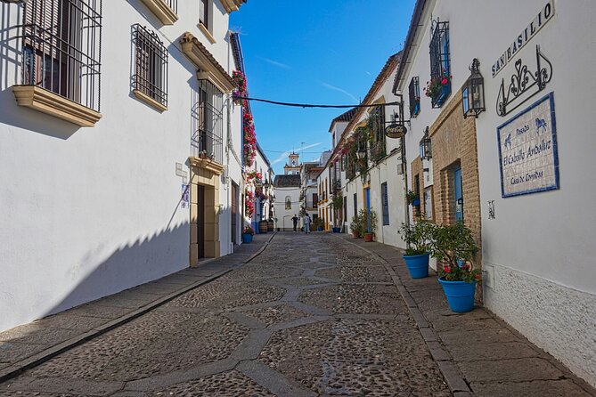 2 Days Cordoba with Mosque Ticket and Hotel Tour - Two Days From Seville: How the Timing Really Feels