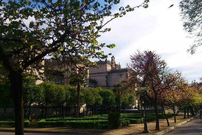 2h30 Private Walking Tour of Seville with Local Guide - A 2.5-hour Seville walk that starts with your hotel or cruise terminal