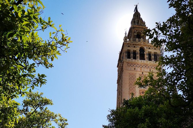2h30 Private Walking Tour of Seville with Local Guide - Real Alcázar de Sevilla: the palace you’ll want to see twice