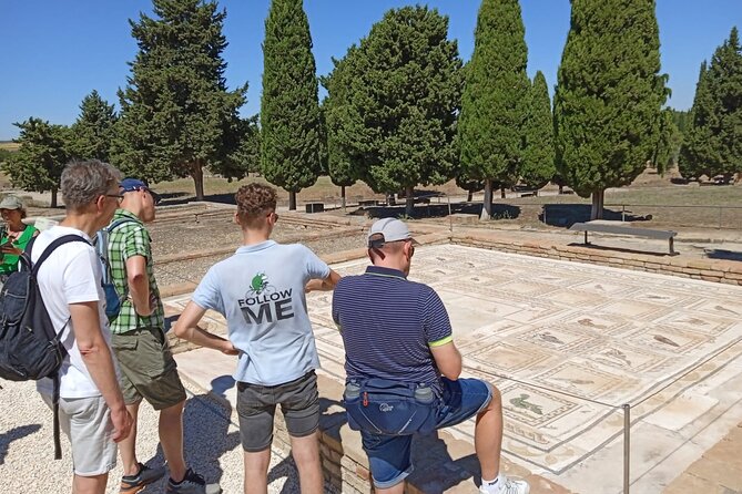 5 hour Electric Bike Tour to the Ruins of Italica - Santiponce: A Short Reset Before You Enter the Archaeological Center