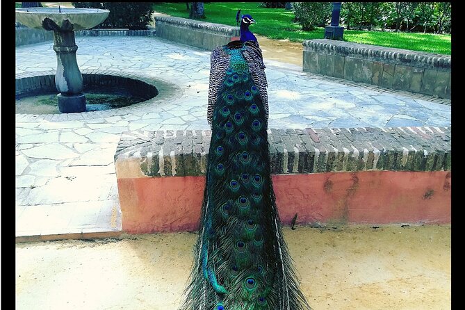 Alcazar and Cathedral of Seville Private Tour - Tickets and Timing: The One Thing You Must Get Right
