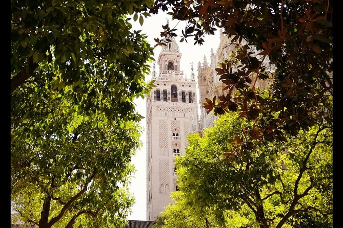 Alcazar and Cathedral of Seville Private Tour - Seville Cathedral: How to See More Than Just Big Walls