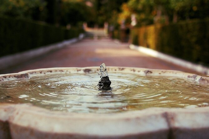 Alcazar & Cathedral of Seville Private Guided Tour - Should You Book This Alcázar & Cathedral Private Guided Tour?
