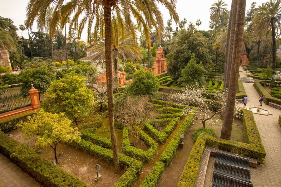 Alcázar of Seville Skip-the-Line Tickets and Guided Tour - What Happens at the End: Use Your Free Time Like a Local