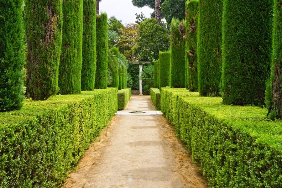 Alcazar of Seville VIP Tour - Key highlights to look for