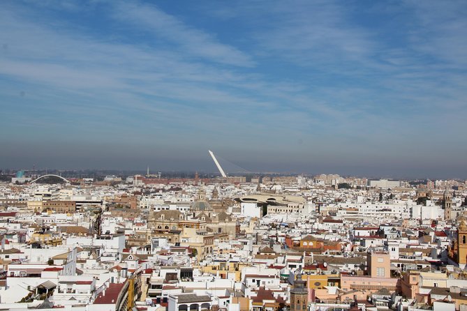 Alcázar tour and roof tour - Roof Tour: Panoramic Views of Seville’s Cathedral, Rooftops, and Bell Towers