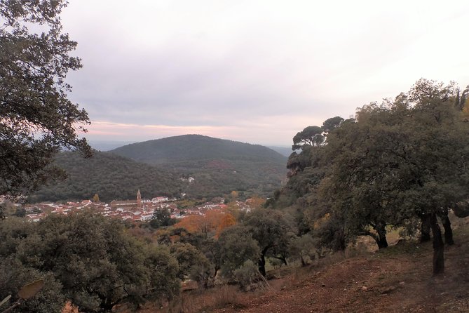 Aracena & Riotinto Mines Tour from Seville - Time Management: Where People Feel It Slips (and How to Handle It)