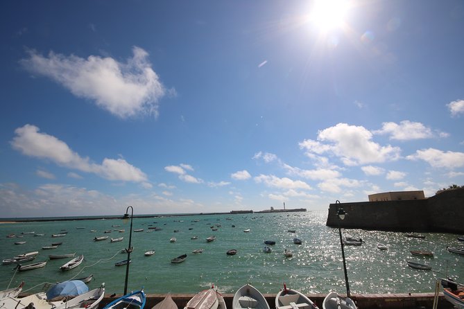 Bahia de Cadiz and Jerez - Jerez de la Frontera: stepping into a traditional winery
