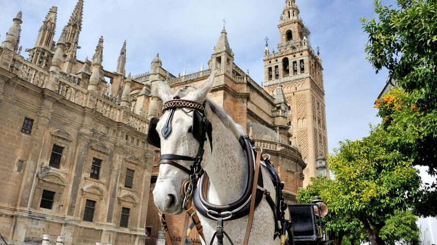 Best of Seville: Private Walking Tour with Local - What’s included—and what you should budget separately