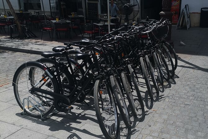 Bike rental day - What You Get: Lock, Water, Baby Seats, and Helmet-Friendly Setup