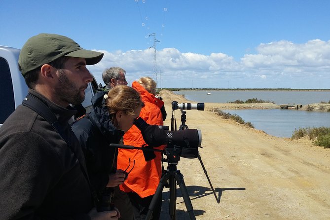Birding & Photography Day Trip to Doñana from Seville - Why Doñana works so well for birding and photos