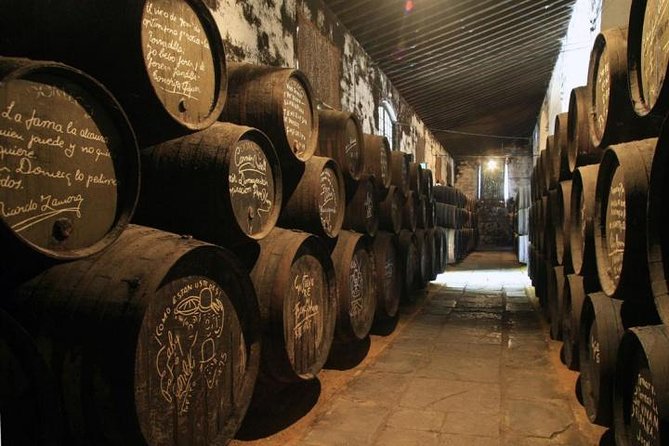 Cadiz and Jerez Day Trip from Seville - Walking tours: why pacing can make or break the day