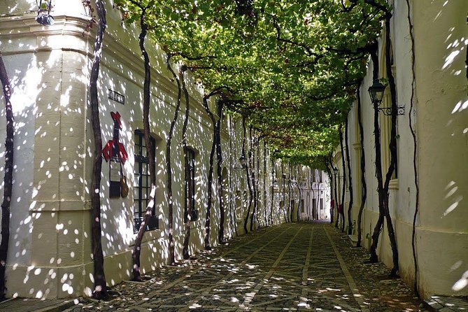 Cadiz and Jerez Day Trip from Seville - What about lunch, drinks, and the “food gap” problem?