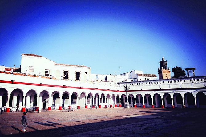 Carmona and Necropolis: Guided Day Tour from Seville - Price and value: what $58.87 buys you