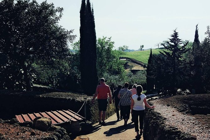 Carmona and Necropolis: Guided Day Tour from Seville - Who this tour is perfect for (and who should skip it)