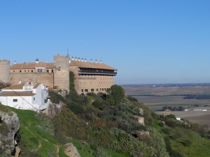 Carmona and Necropolis Tour from Seville - Quick hits