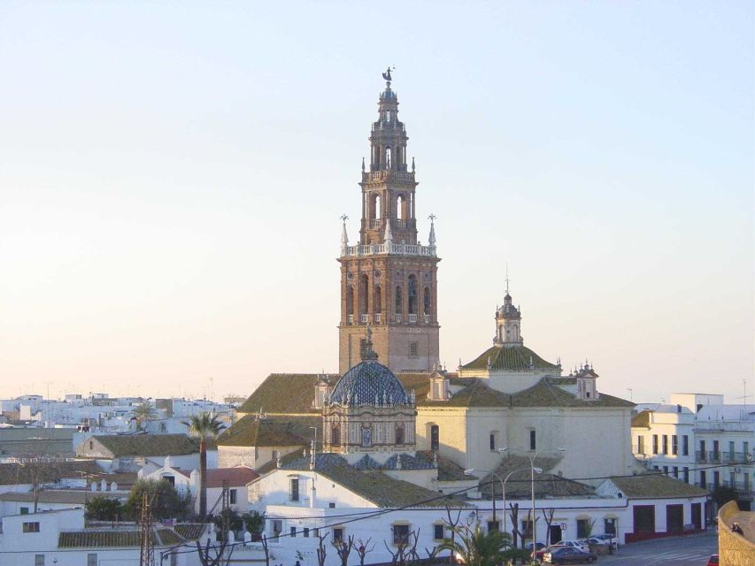 Carmona and Necropolis Tour from Seville - Getting from Seville to Carmona: pickup options and a 40-minute coach ride