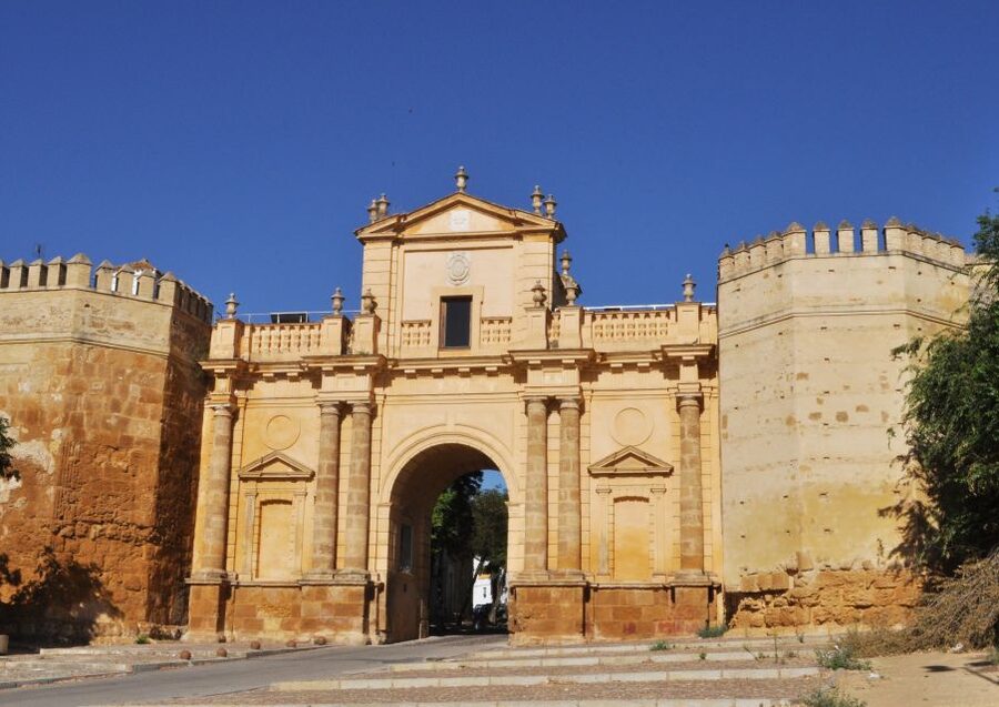 Carmona: City Walking Tour - Gate to Córdoba and the Alcázar Del Rey Don Pedro