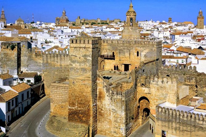 Carmona Roman Necropolis and History Walking Tour - Key things that make this tour worth considering