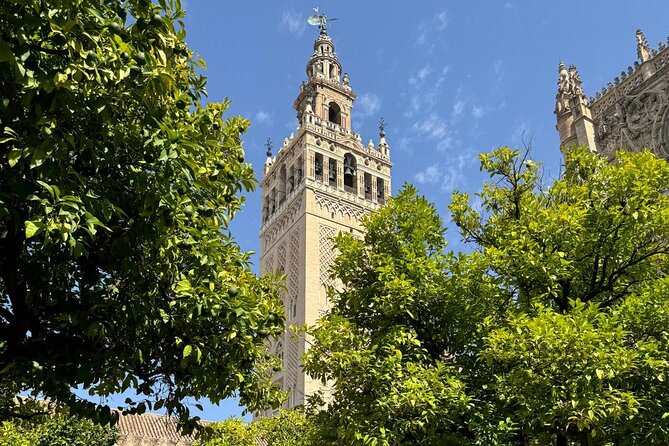 Cathedral Tour of Seville Giralda and Barrio Santa Cruz All in One - Who Should Book This Seville Cathedral and Santa Cruz Combo?