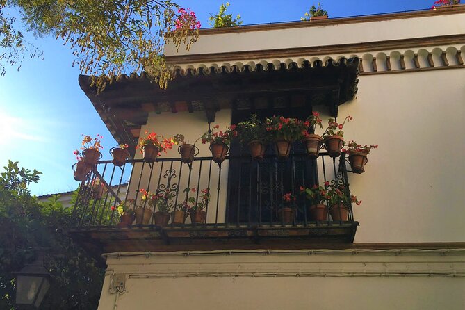 Classic Private Tour of Seville - Meeting Point Details and How the Day Flows