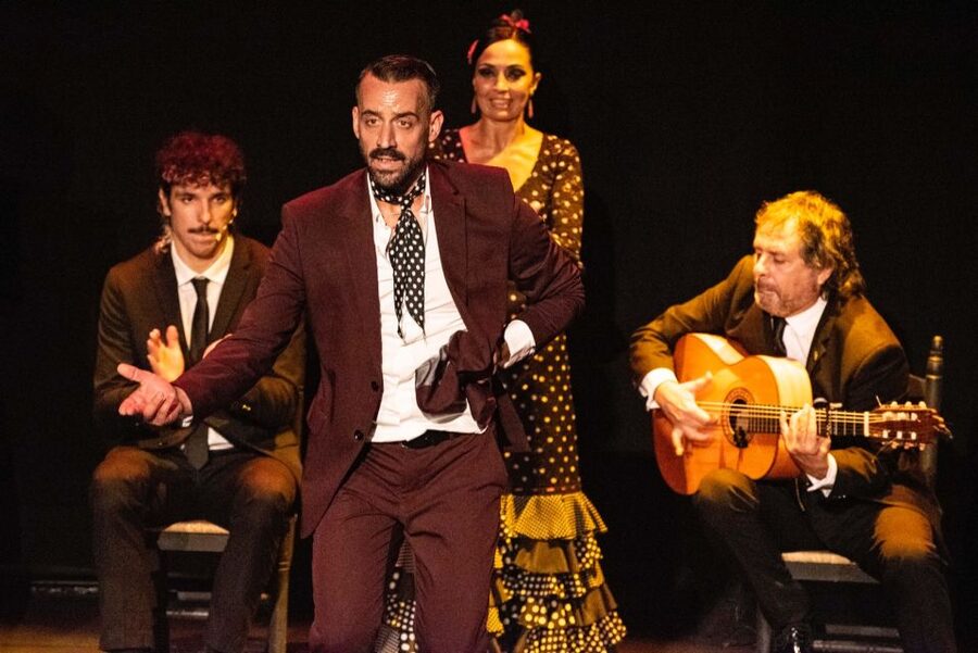 Combo: Hop on hop off + Flamenco Show & Walking tours - Hop-on hop-off bus: how to use it without wasting time