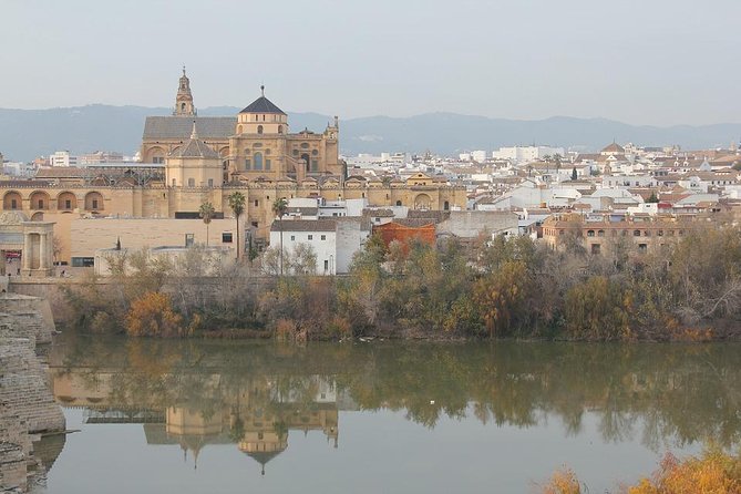 Cordoba & Carmona with Mezquita, Synagoge & Patios from Seville - La Judería and the Córdoba Synagogue: the story behind the streets