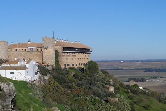 Cordoba & Carmona with Mezquita, Synagoge & Patios from Seville - Group size, guide setup, and the real-world pacing