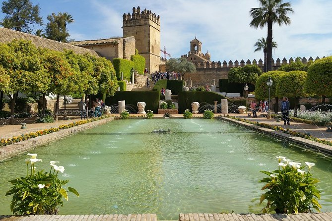 Cordoba Highlights: Guided Day Tour from Seville - Mosque-Cathedral Fast Track: Entry Help and Your Self-Guided Time Inside