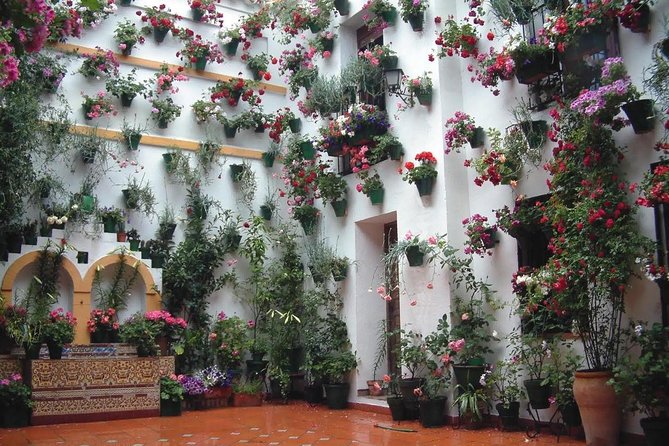 Cordoba Highlights: Guided Day Tour from Seville - What This Tour Is Best For (and When It Might Not Fit)