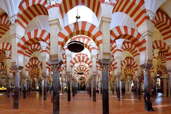 Cordoba Highlights: Guided Day Tour from Seville - Riding Through Andalusia: Vineyards, Olive Groves, and the Right Amount of Travel