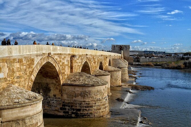 Cordoba Historical Center Guided Tour from Seville - Key highlights to know before you go