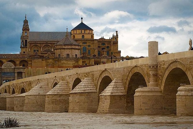 Cordoba private tour from Seville including the great Mosque for up to 8 persons - A private half-day plan: Seville to Cordoba without the stress