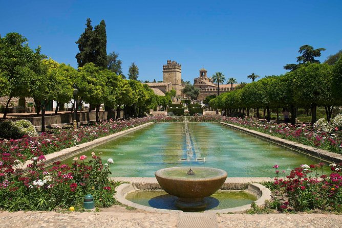 Cordoba private tour from Seville including the great Mosque for up to 8 persons - Pickup, groups up to 8, and who drives the day