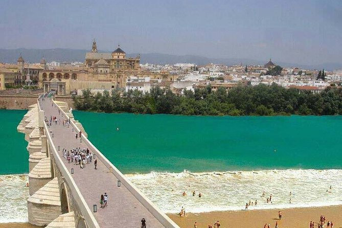 Cordoba private tour from Seville including the great Mosque for up to 8 persons - The Mezquita-Cathedral: the one site that explains Cordoba