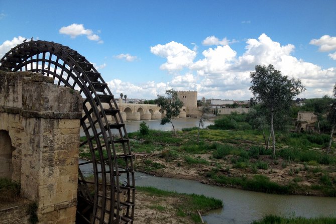 Cordoba & & The Mosque Small-Group Day Tour from Seville - Royal Stables, Alcázar, Museum, and Molino: Short Stops, Big “Taste”