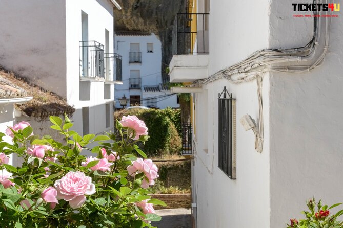 Day in Pueblos Blancos and Ronda from Seville - A smart way to do Pueblos Blancos plus Ronda in one hit