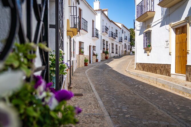 Day trip to Zahara, Setenil and Ronda from Seville - Guides, small groups, and how the day actually feels