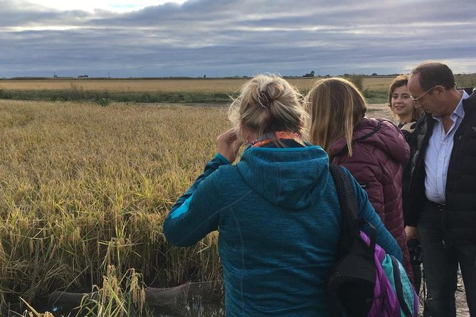 Donana National Park and El Rocío: Guided Tour from Seville - El Rocío Chapel and the Old-Style Village Atmosphere
