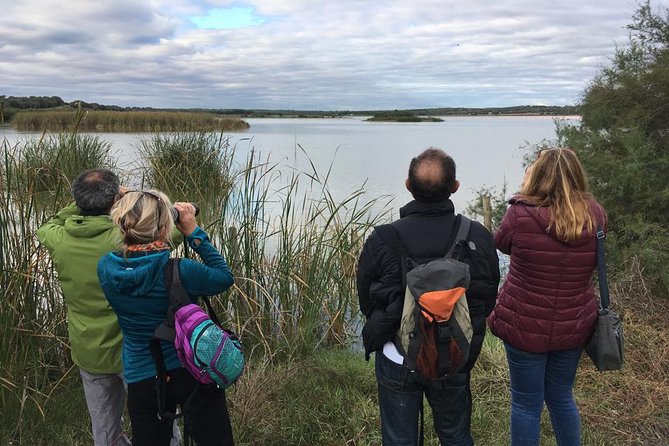 Donana National Park and El Rocío: Guided Tour from Seville - The La Rocina Walking Loop: Learn the Trails, Not Just the Species