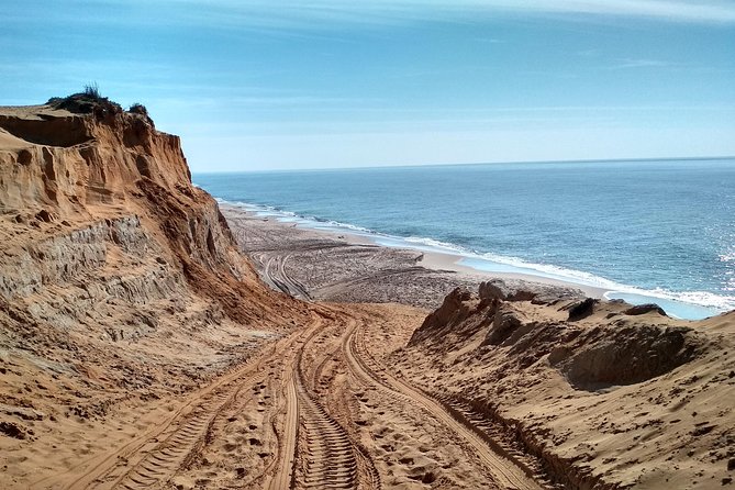 Donana National Park and El Rocío: Guided Tour from Seville - The 4x4 Return Through Doñana Forest, Plus a Chance at Iberian Lynx