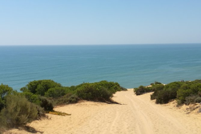 Donana National Park: Guided Day Tour from Seville - The 4x4-style ride: great for sightings, check comfort expectations