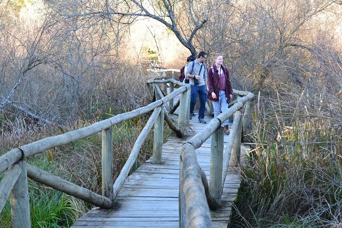 Donana National Park: Guided Day Tour from Seville - Weather and flooding: what changes when the park gets wet