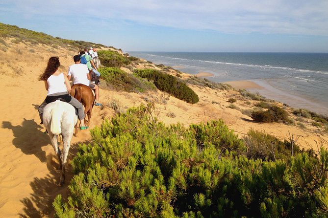 Donana National Park Horse or 4x4 Riding Day Trip - From Seville to Doñana: a full day that’s built for variety
