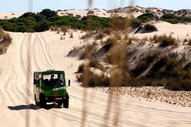 Donana National Park Horse or 4x4 Riding Day Trip - Horse or 4x4: choosing how you want to experience the dunes