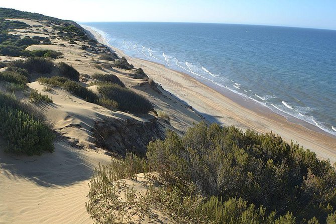 Donana National Park Horse or 4x4 Riding Day Trip - Stop 2: Doñana National Park for a focused wildlife hour