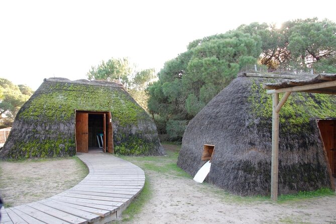 Doñana National Park in 4x4 and El Rocío - Key highlights to pay attention to