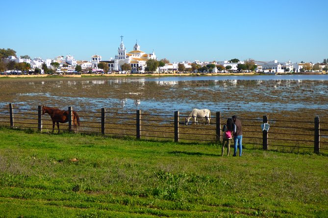 Doñana National Park in 4x4 and El Rocío - Paying for restricted-access 4x4 in Doñana National Park